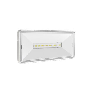 TRAXON LUXPOINT®Luminaria de emergencia LED 6500K 100Lm IP65 120° superficie PMMA